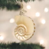 Old World Christmas Nautilus Shell Blown Glass Ornament -Glitter Shop 12150 387x