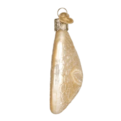 Old World Christmas Sand Dollar Blown Glass Ornament 7 Old World Christmas Sand Dollar Blown Glass Ornament -Glitter Shop 12156 4 1024x