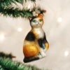 Old World Christmas Calico Cat Blown Glass Ornament -Glitter Shop 12399 387x
