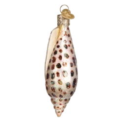 Old World Christmas Blown Glass Junonia Shell Ornament -Glitter Shop 12465 4 1024x