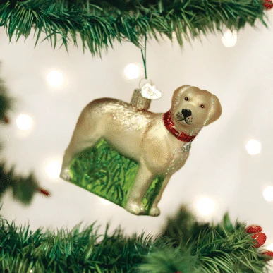 Old World Christmas Blown Glass Standing Yellow Lab Ornament 3 Old World Christmas Blown Glass Standing Yellow Lab Ornament