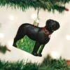 Standing Black Lab Ornament Old World Christmas 2 Standing Black Lab Ornament Old World Christmas -Glitter Shop 12509 Black Lab Ornament