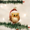 Old World Christmas Blown Glass Santa Owl Ornament -Glitter Shop 16098 1 387x 1