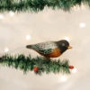 Old World Christmas Blown Glass Robin Clip-On Ornament 2 Old World Christmas Blown Glass Robin Clip-On Ornament -Glitter Shop 18088 1 387x 1