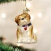 Bull Pup Ornament Old World Christmas -Glitter Shop Bull Pup Ornament Old World Christmas