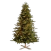 Carolina Fraser Fir Christmas Tree St. Nicks™️