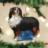 Bernese Mountain Dog Ornament Old World Christmas 1 Bernese Mountain Dog Ornament Old World Christmas -Glitter Shop image 12 12