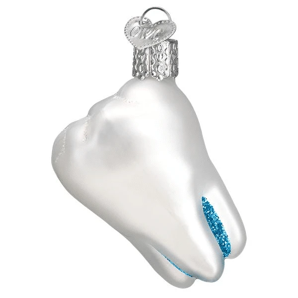 Old World Christmas Blown Glass Tooth Ornament 4 Old World Christmas Blown Glass Tooth Ornament - Image 2