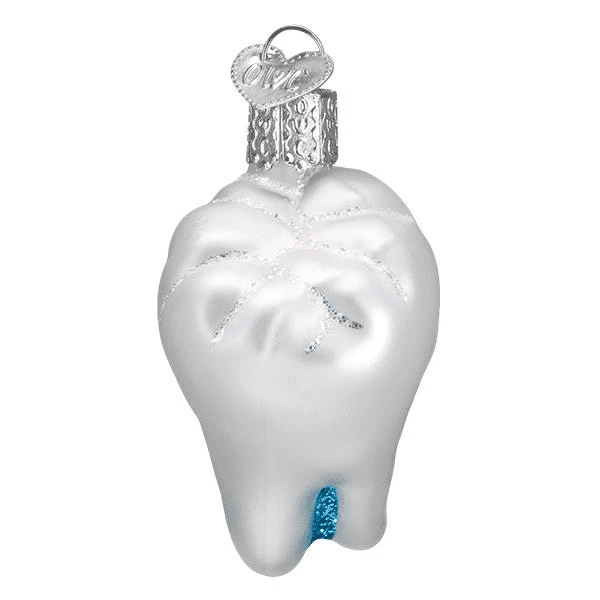 Old World Christmas Blown Glass Tooth Ornament 5 Old World Christmas Blown Glass Tooth Ornament - Image 3