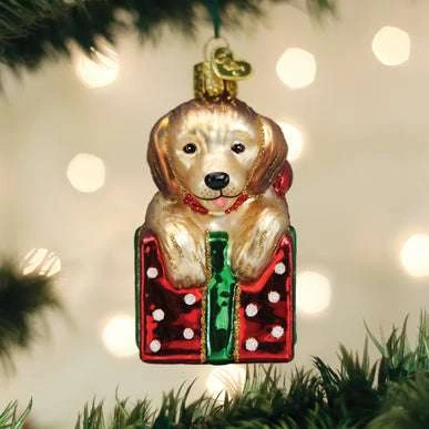 Golden Puppy Surprise Ornament Old World Christmas 3 Golden Puppy Surprise Ornament Old World Christmas
