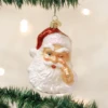 Old World Christmas Blown Glass Night Before Christmas Santa Ornament -Glitter Shop image 384 1