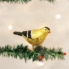 Old World Christmas Blown Glass American Goldfinch Ornament -Glitter Shop image 392 3