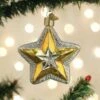 Old World Christmas Blown Glass Radiant Star Ornament -Glitter Shop image 80 1